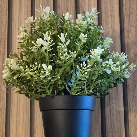 Le Stella Hyper Centre à 10 Minutes Appartement